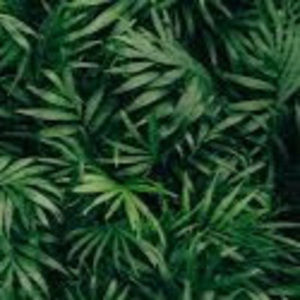 Meet your Posher, Ava